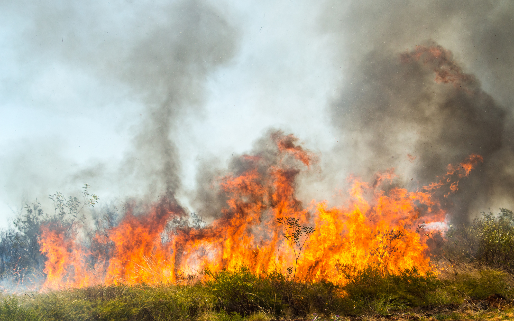 Bushfires