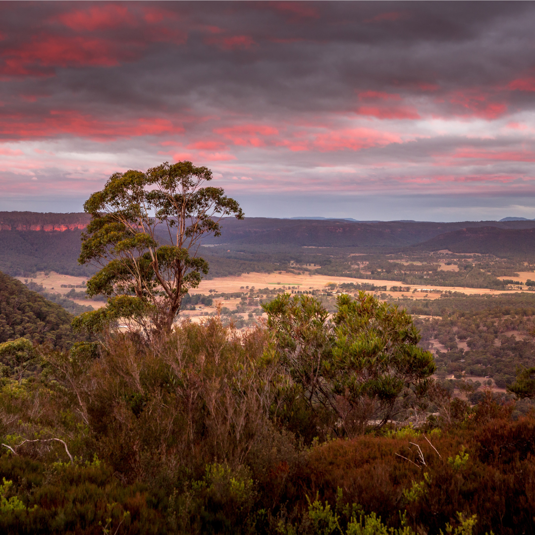 Hartley Valley